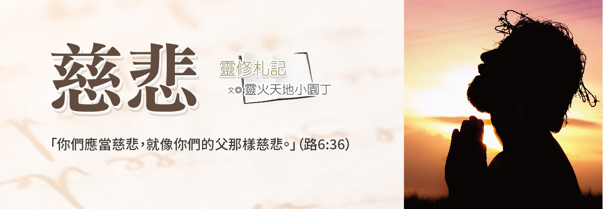 FZ288(2020~11-12)
